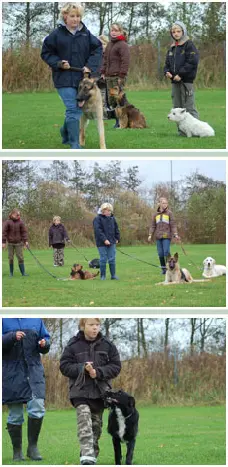 Drie foto's van verschillende trainingen