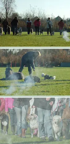 Drie foto's van de vuurwerktraining